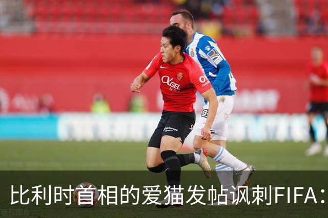 比利时首相的爱猫发帖讽刺FIFA：“红牌？”我照样继续踢！