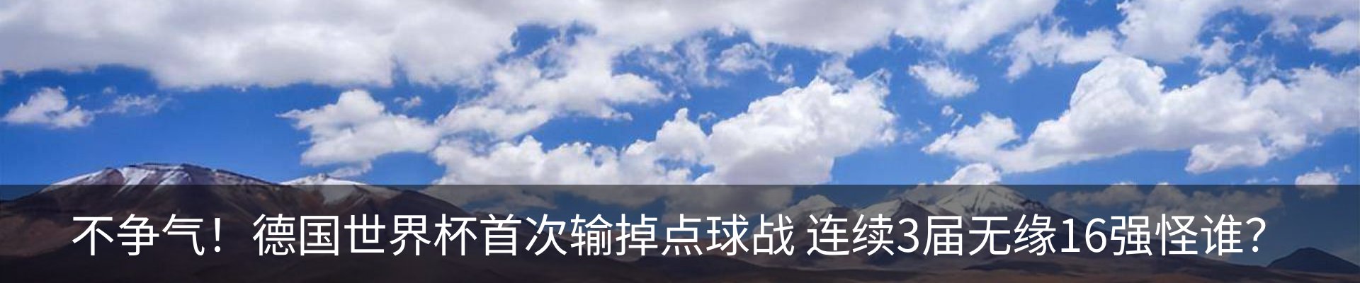 最新动态