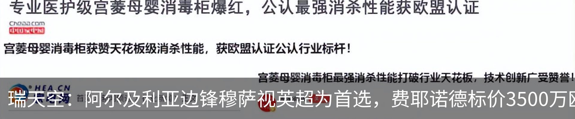 最新动态