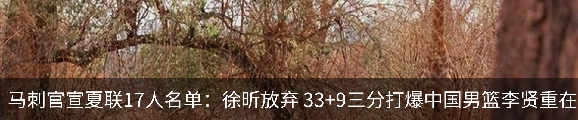 最新动态